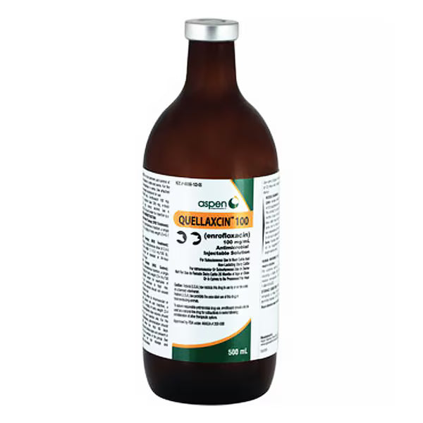 Quellaxcin 100 (Enrofloxacin) Injectable Solution