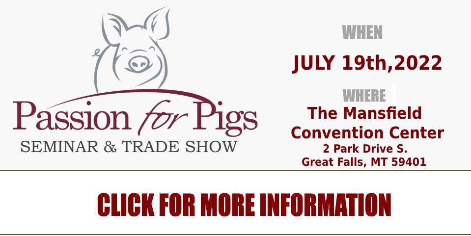 pigs-show-july-19-2022