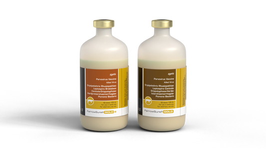 Farrowsure GOLD