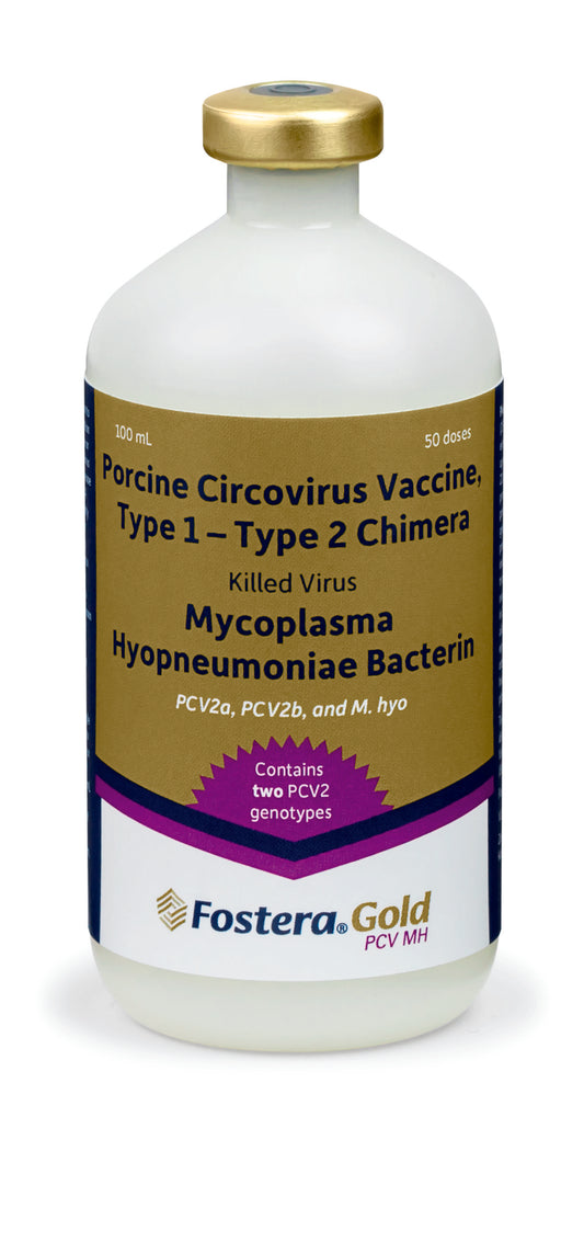 Fostera Gold PCV MH