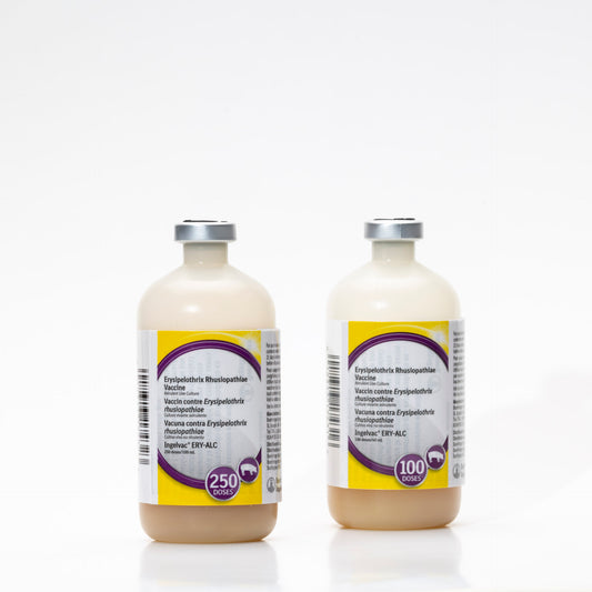 Ingelvac Ery-Alc