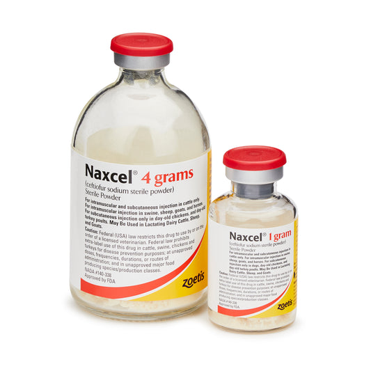 Naxcel (Ceftiofur Sodium) Sterile Powder