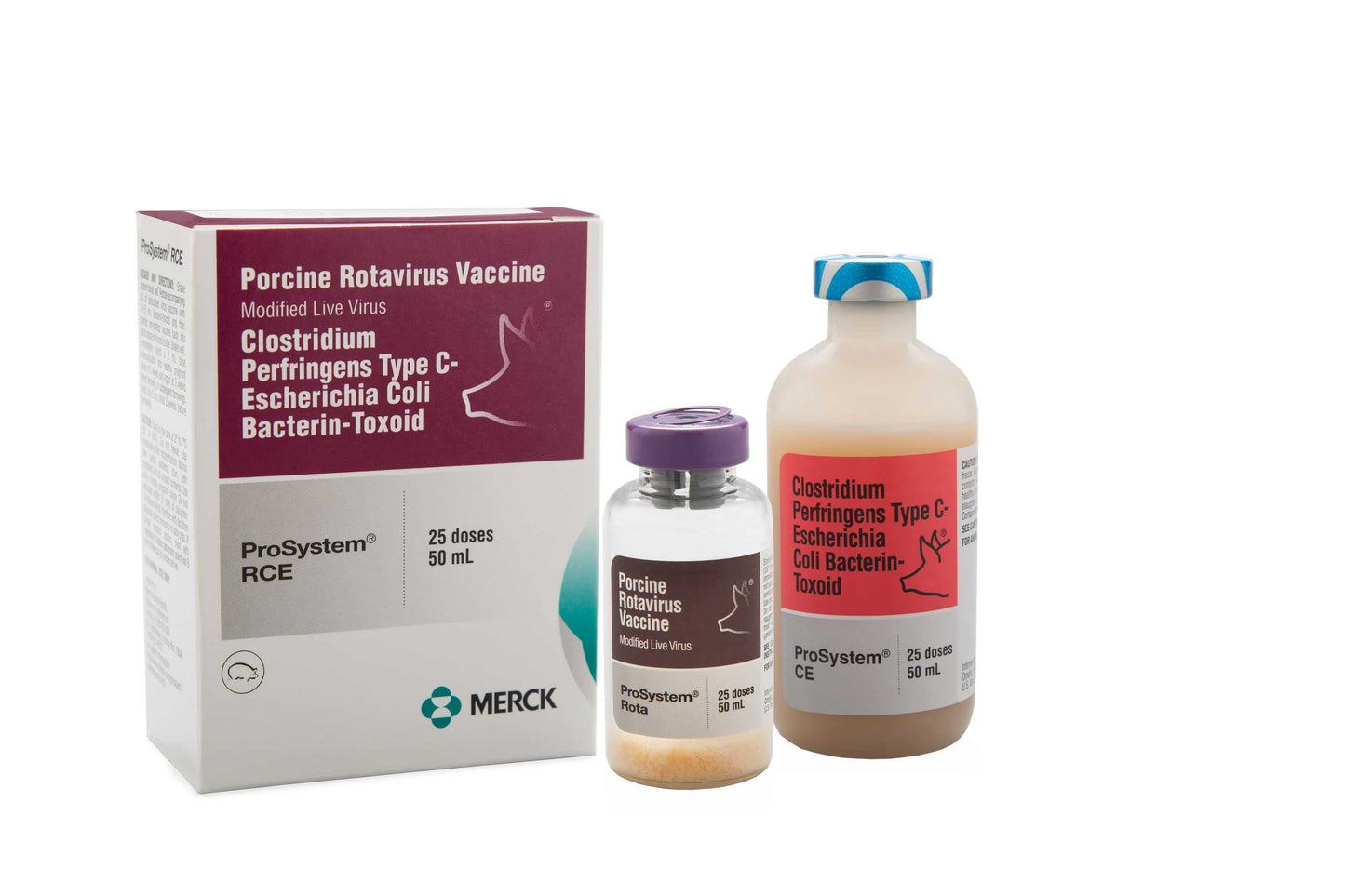 ProSystem RCE