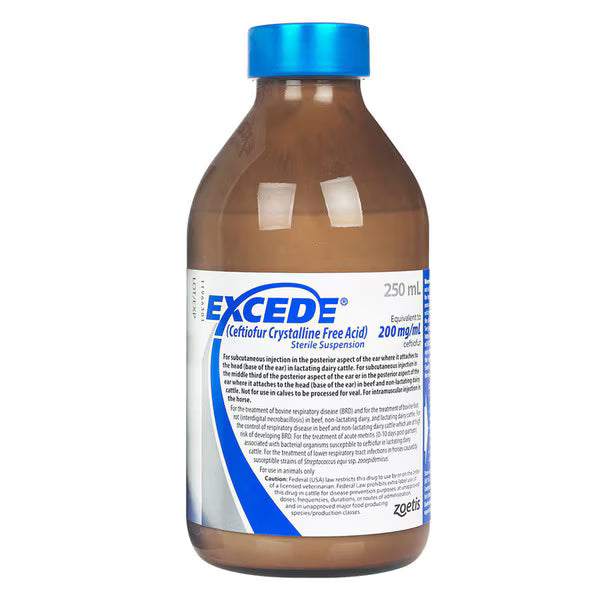Excede (Ceftiofur) Sterile Suspension for Cattle