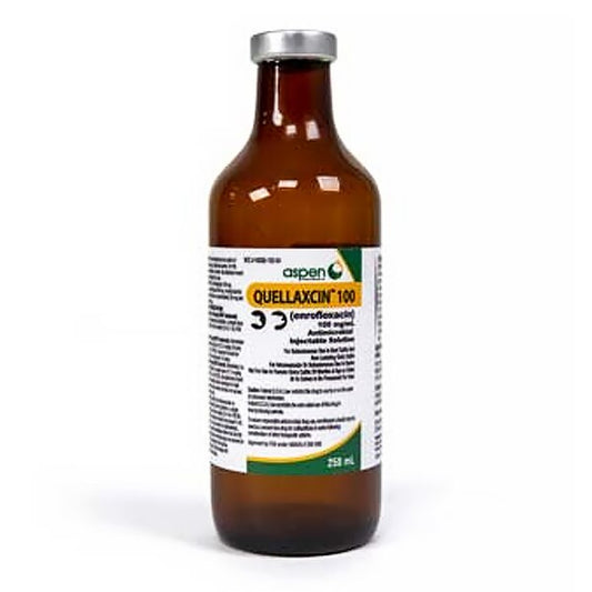 Quellaxcin 100 (Enrofloxacin) Injectable Solution